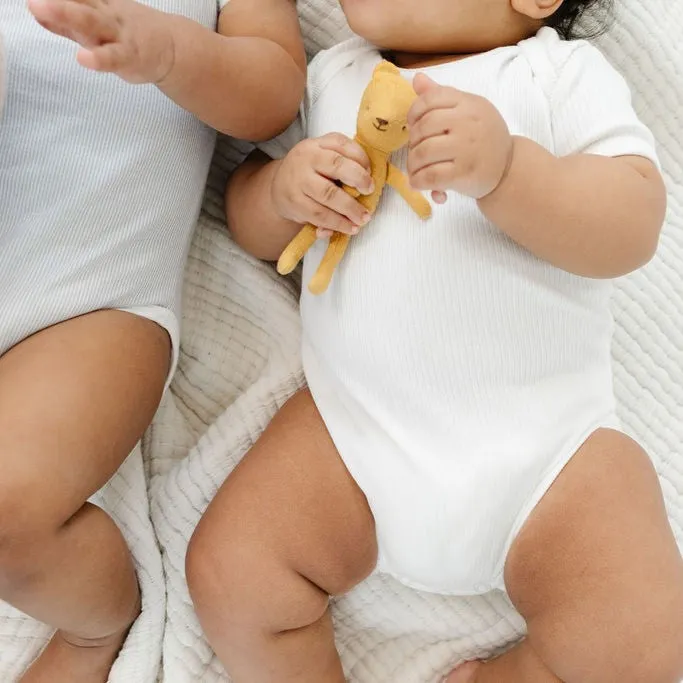 3 Pack Ribbed Short Sleeve Bodysuits - Ivory