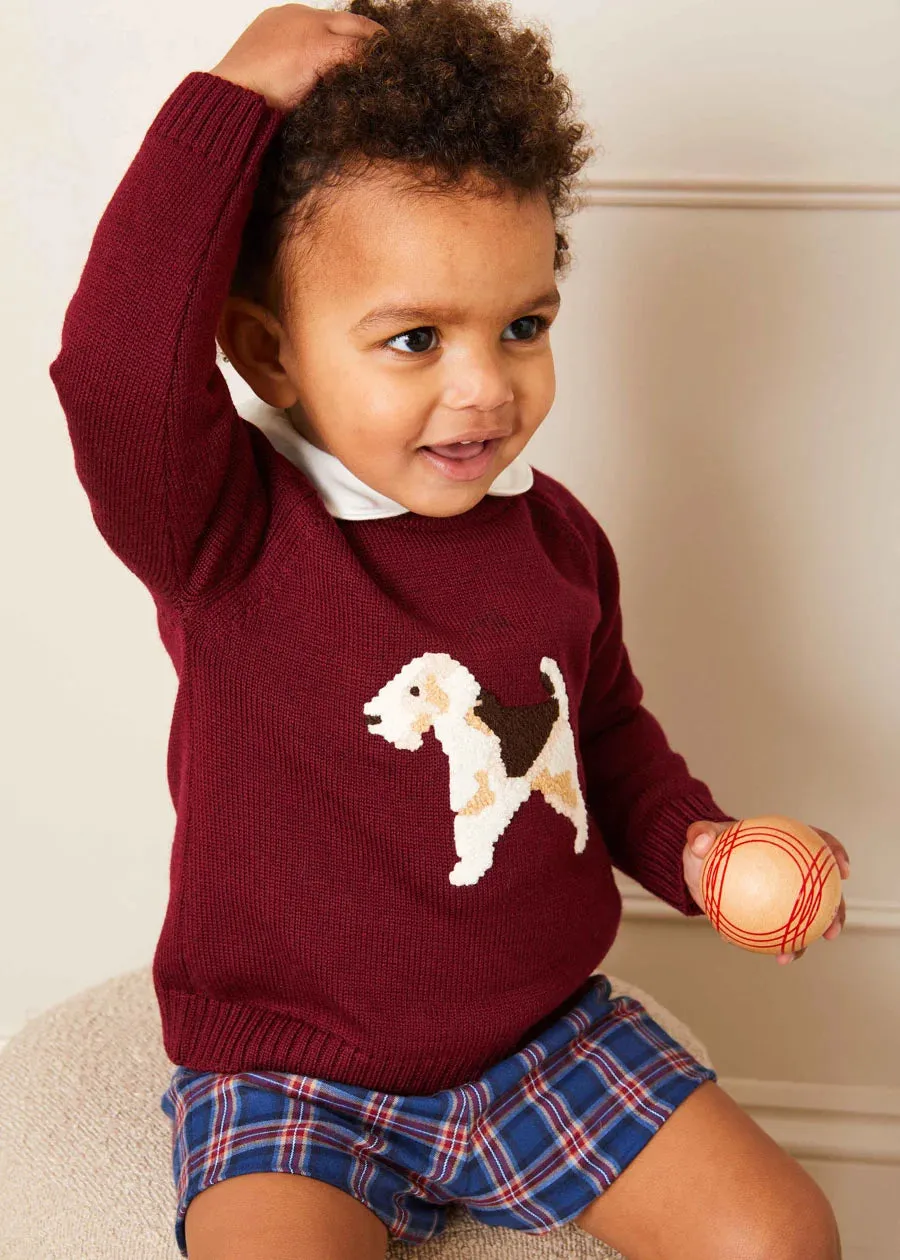 Doggy Intarsia Jumper in Burgundy (12mths-4yrs)