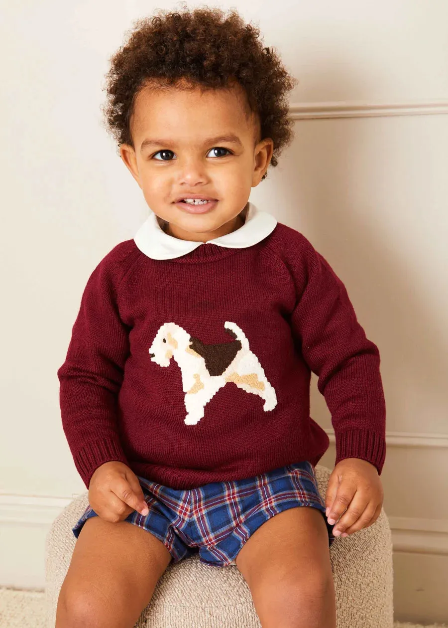 Doggy Intarsia Jumper in Burgundy (12mths-4yrs)