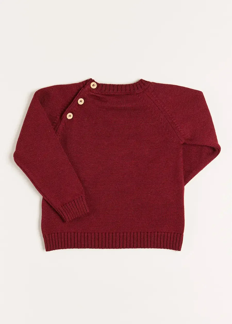 Doggy Intarsia Jumper in Burgundy (12mths-4yrs)
